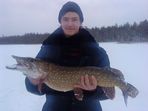 Борисов.СП