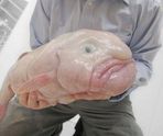 kirisimus